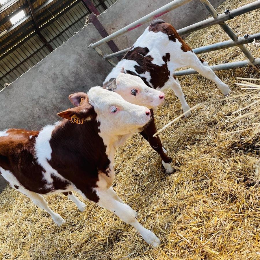 Готель Kota A La Ferme Beaufort-en-Argonne Екстер'єр фото